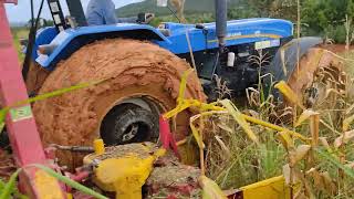 7630 com forrageira MENTA FORT na silagem agricultura roça safra agro [upl. by Halika]