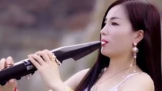 Chinese Music Instrumental 💖✔Beautiful Melody Soothing sound 🔊💖Chinese Song 2023 [upl. by Aikram257]