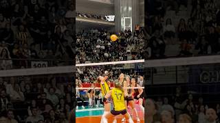 😱 Fenerbahçe’den ilginç sayı volleyball sultanlarligi fenerbahçe edaerdem rally [upl. by Sitnalta]