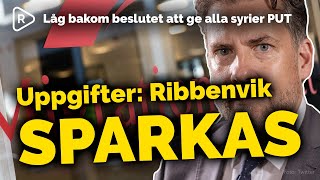 Migrationsverket generaldirektör Mikael Ribbenvik får sparken [upl. by Strohl936]