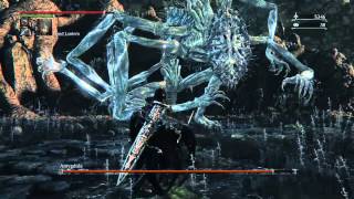 Bloodborne Amygdala Boss Fight Location [upl. by Refotsirhc486]