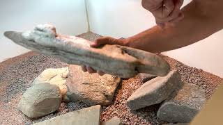 Setting Up the Enclosure for Uromastyx [upl. by Lavena]