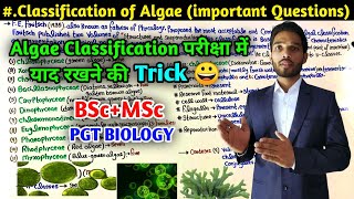 Classification of Algae  Trick to Remember Classification of Algae  BSc  MSc  PGT Biology [upl. by Ykcul]