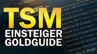 WOW TSM GOLDSETUP Guide  Gold mit TSM verdienen  Erste Schritte mit TSM [upl. by Rafiq]