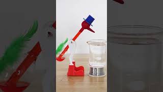 The Drinking Bird Drinks Faster [upl. by Strohl]