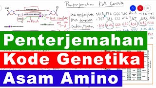 Penterjemahan Kode Genetika Asam Amino [upl. by Anilesor261]