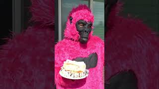 HILARIOUS Cake Prank with a Skeleton Gorilla and Puppy [upl. by Vasta578]