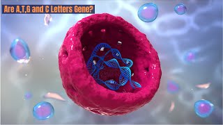 Genes Alleles and Chromosomes  Easy Explanation Genetics 101 genes biology cell [upl. by Maridel279]