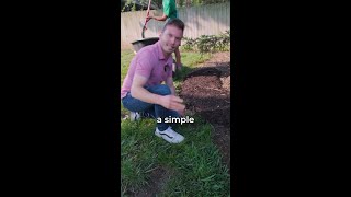 How to have CLEAN EDGES in your lawn [upl. by Annavaig]