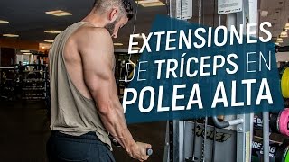 Extensión de Tríceps en Polea Alta  Agarre InvertidoSupinación  Ejercicio para Tríceps [upl. by Guod21]