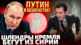 ⚡40 МИНУТ НАЗАД АСАД С ГЕНЕРАЛАМИ УДИРАЕТ НА САМОЛЕТАХ ПОВСТАНЦЫ ГРОМЯТ ПАМЯТНИКИ ПУТИН БЕСИТСЯ [upl. by Eibrik]