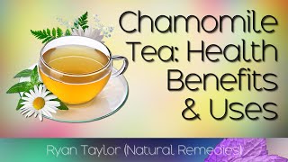 Chamomile Tea Benefits and Uses [upl. by Ahker]