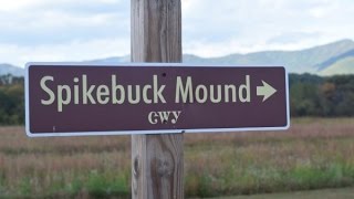 Quanassee Path To Spikebuck Mound  Quanassee Town Site  Hayesville NC [upl. by Zamora]