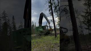 abitibi logging quebec forestry logginglife foryou foresterie🌲 johndeere ponsse ponsseh7 [upl. by Nibram17]