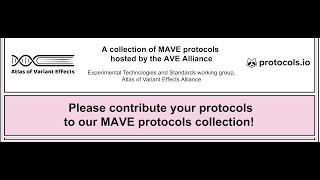 MSS 2024 Day 1 Protocols [upl. by Nwahsaj493]