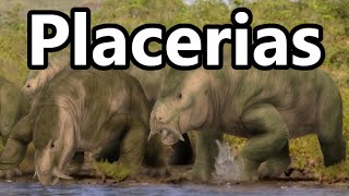 Placerias Giant Triassic Herbivore [upl. by Yaras]