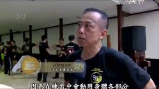 Wing Chun Indonesia Perguruan Harimau Besi LIPUTAN DAAI TV [upl. by Raviv]