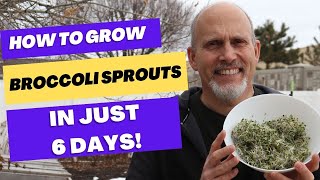 How to Grow Broccoli Spouts in 6 days [upl. by Lorelie492]