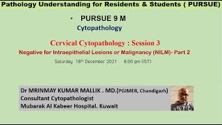 Pursue 9M Cervical Cytopathology Negative for Intraepithelial Lesions or Malignancy NILM Part 2 [upl. by Dareg305]