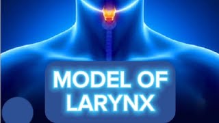 MODEL MUSCLES OF LARYNX [upl. by Clim89]