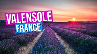 VALENSOLE lavender fields of Provence France Sunset on the Valensole Plateau in Provence [upl. by Kus809]