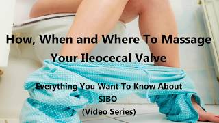 How When and Where To Massage Your Ileocecal Valve [upl. by Retrop]