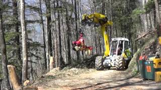 Menzi Muck M545 Harvester in Sachseln CH [upl. by Kcir]