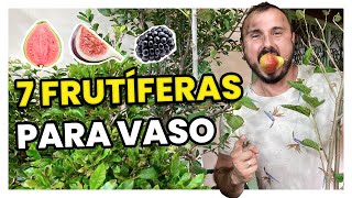 7 FRUTÍFERAS EM VASO  COMO PLANTAR E CULTIVAR [upl. by Negriv]