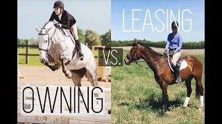 Owning Vs Leasing  Part Boarding  EVERYTHING YOU NEED TO KNOW [upl. by Craven]