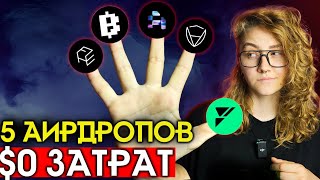 ТОП5 активностей для ЗАРАБОТКА КРИПТЫ без вложений  Подробная Airdrop Инструкция [upl. by Seraphim413]