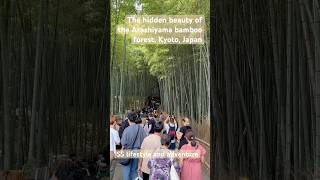 The hidden beauty of Kyoto Japan  Arashiyama Bamboo forest [upl. by Hershell]