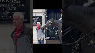 Horses Love Me Mostly Epic Horse Guards Moments Thatll Leave You Neighing for More [upl. by Benioff481]