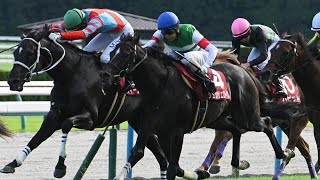 CHEVALIER ROSE wins the G2 KYOTO DAISHOTEN [upl. by Nire]