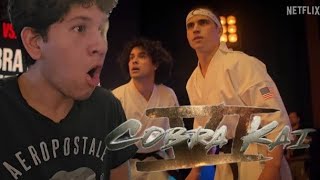 Cobra Kai Season 6 Part 2 official trailer reaction [upl. by Golliner]