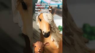 they’re always watching 😃 schleich horses horse schleichhorses models modelhorses funny [upl. by Franza]