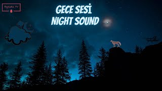 GECE SESİ  NIGHT SOUND  RAHATLATICI SESLER  CRICKETampWOLF HOWLING  RELAXING SOUNDS [upl. by Olenka67]