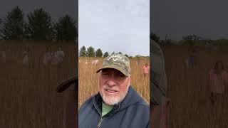 Picking Big Bluestem  7th grade [upl. by Anirrehs]