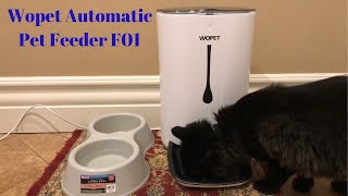 My DIY Pet Peeder VS Wopet Sprite 7L Automatic Pet Feeder by TicTac Tech [upl. by Kraft]