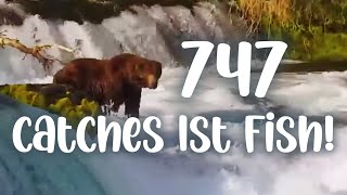 747 ▪︎ Katmai Brown Bears ▪︎ Catches 1st Fish on Cam ▪︎ 62324 ▪︎ Exploreorg [upl. by Mayhew]