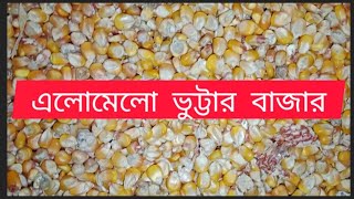 ভুট্টার বাজার দর পাইকারি দাম ৪১১২৪ corn price [upl. by Roid]