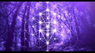 417 Hz Release Past Trauma amp Negativity [upl. by Llertnek728]