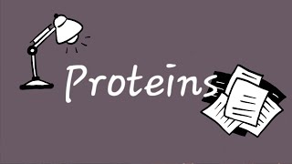 Proteins Biochemistry تحليلات مرحلة ثانية  Lecture 5 [upl. by Tnert]