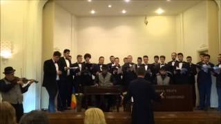 Cantus Domini amp Muzica de odinioara Daniel Trifu  Hora cu strigaturi [upl. by Boff]