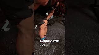 Time to fix your Tiny Calves bodybuilding fitness fitnessmotivation [upl. by Nylear]