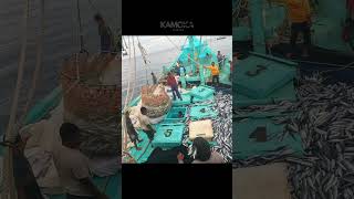 deep sea fishing in Aceh Indonesia KAMOKA FISHING [upl. by Bjork]