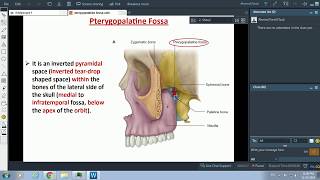 The Pterygopalatine fossa  Dr Ahmed Farid [upl. by Aicinad562]