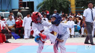 टोखा मेयर कप वादोरीयो कराते सुरु  1st Mayor Cup Wado Karate Championship [upl. by Wittie792]