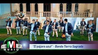 Banda Tierra Sagrada  El pájaro azul Corridos Unplugged [upl. by Eednak]