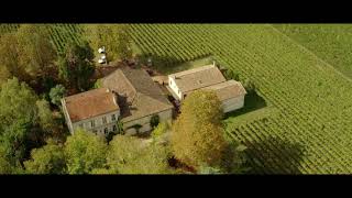 Vendanges 2019 vues du ciel au Château Corbin Michotte [upl. by Jehius115]