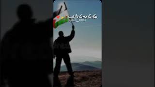 quotPalestines Familyquot  Israel  Palestine  countryballs edit [upl. by Airetahs843]